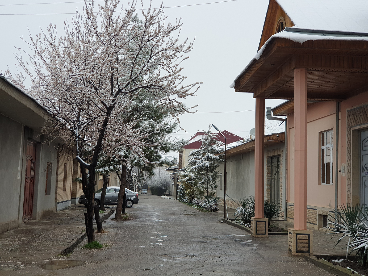 Между зимой и весной